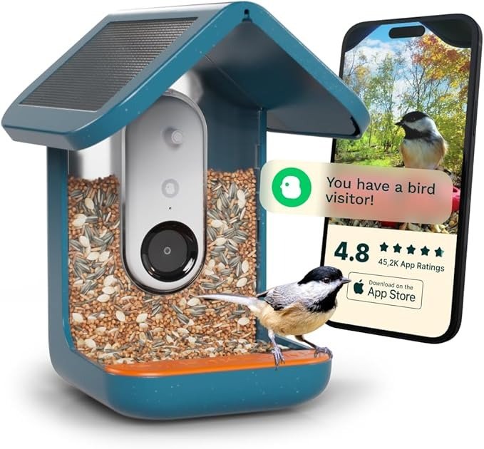 cardinal bird feeder
