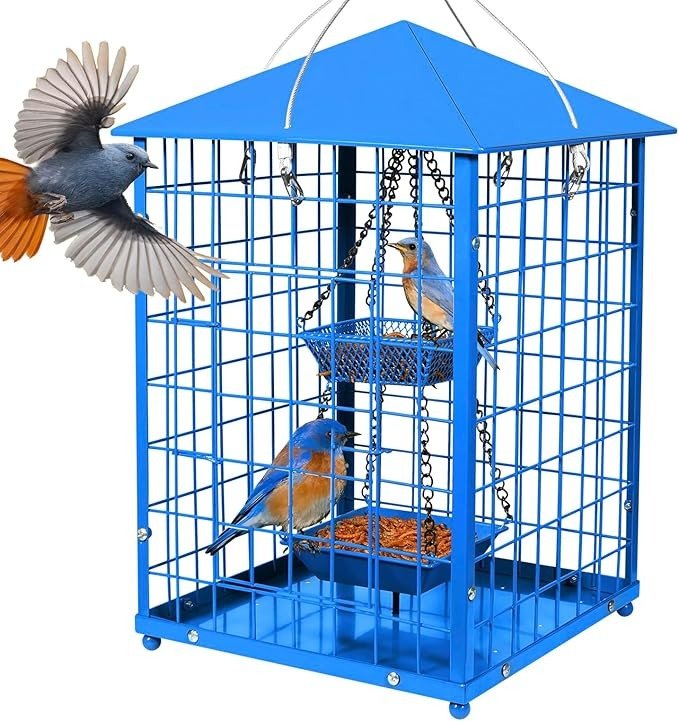 bluebird feeder